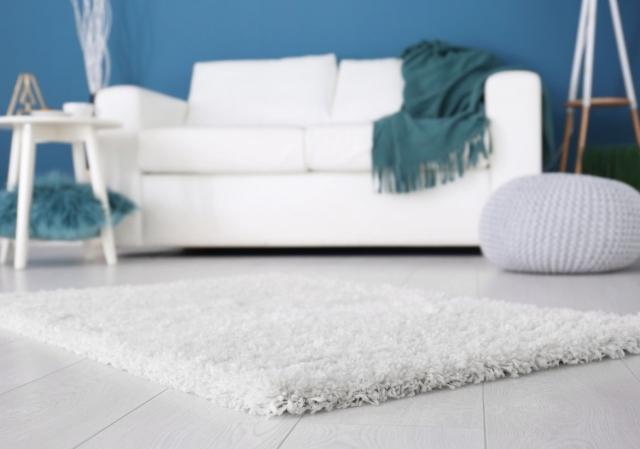 Floors Carpets and Rugs Online: Decorate Your Home with Floor-Art
